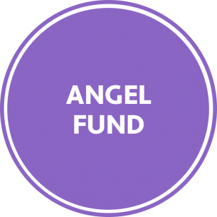 Donate button - Angel fund